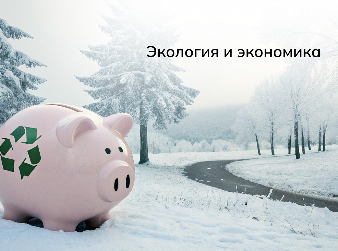 Экология и экономика: как сделать утилизацию в отдаленных регионах выгодной